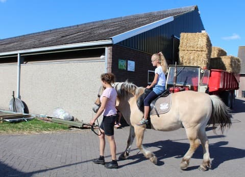 Mini Camping Middenin foto 3