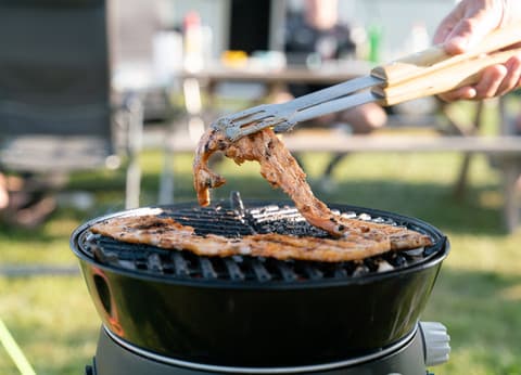 Minicamping Oisterwijk foto 5