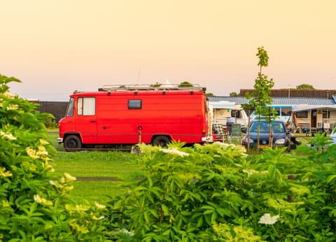 Minicamping Oisterwijk foto 4