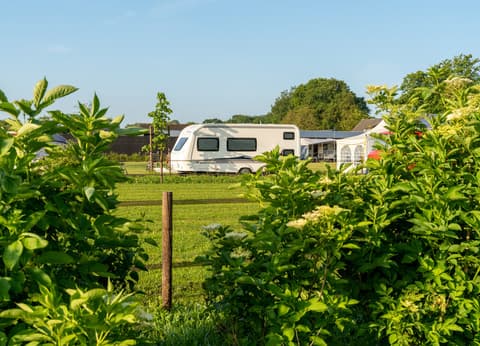 Minicamping Oisterwijk foto 2