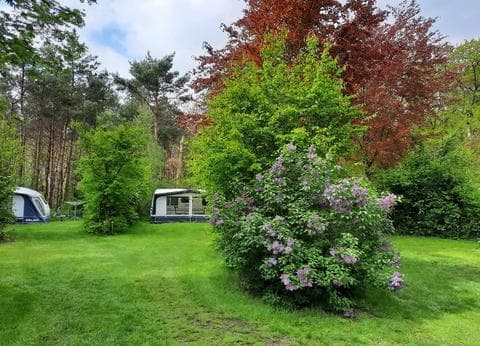 Camping de Moat foto 1