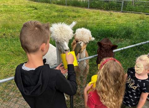 Camping De Muk foto 5