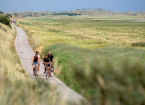 De Nachtegaal foto 5