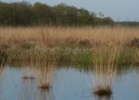 Vakantieappartement NamaStee foto 4