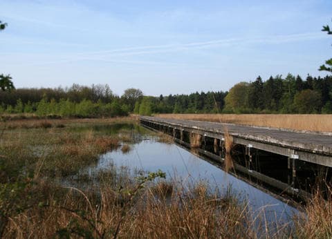 Vakantieappartement NamaStee foto 2