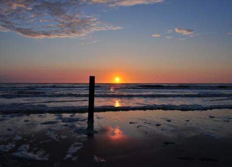 Hoeve Nieuw Breda foto 1