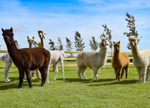 Nieuw Duinoord foto 6