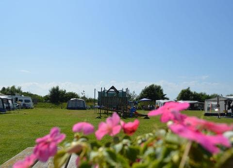 Nieuw Duinoord foto 2