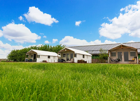 Glamping Camping Nixhoeve foto 2