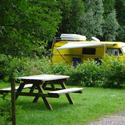 Minicamping Noorderzon foto 8