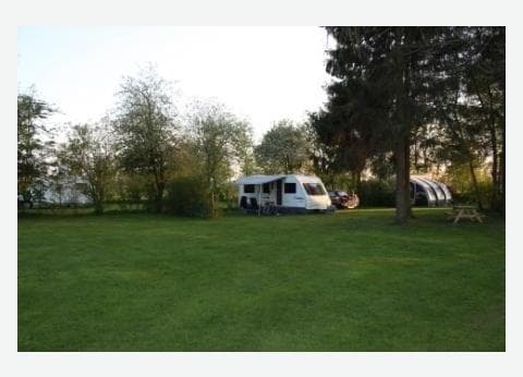 Minicamping 't Oelenreef foto 3