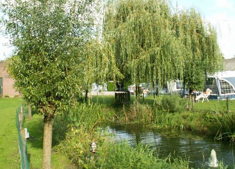 Minicamping Ons Stekske foto 5