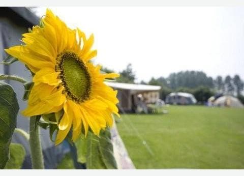 Den Oorsprong foto 1