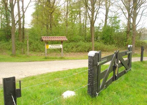 Minicamping op de Heuvelrug foto 1