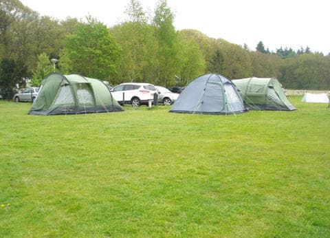 Minicamping op de Heuvelrug foto 3