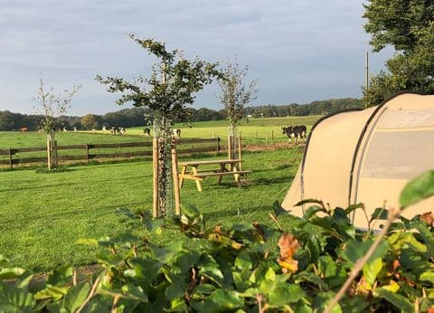 Camping Op den Stuwwal foto 5