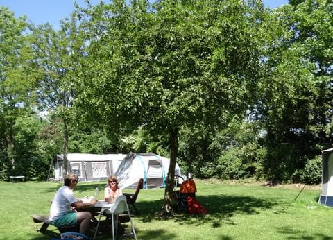 mini-camping Oranjepolder foto 5