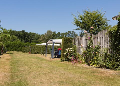 d' Ouwe Veiling foto 2