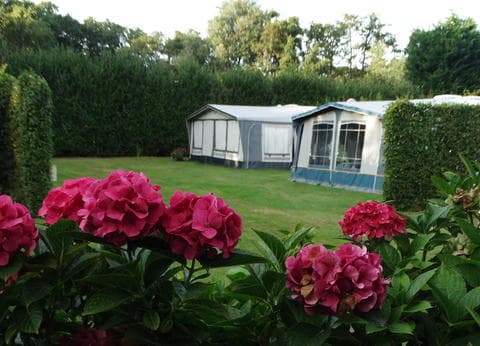 d' Ouwe Veiling foto 3