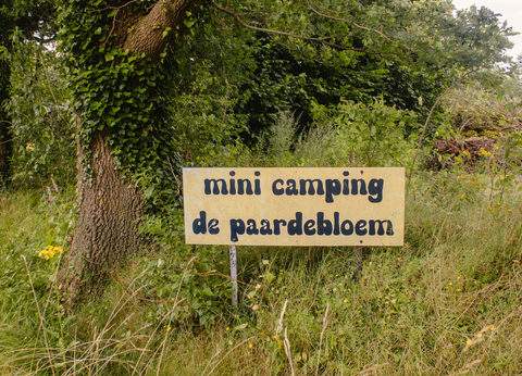 De Paardebloem foto 2