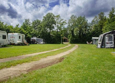 De Paardebloem foto 1