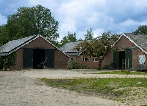 De Paardebloem foto 7