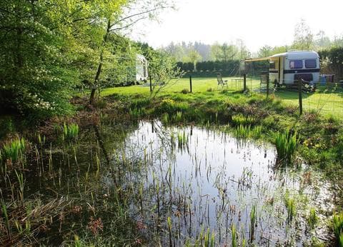 De Paardebloem foto 3