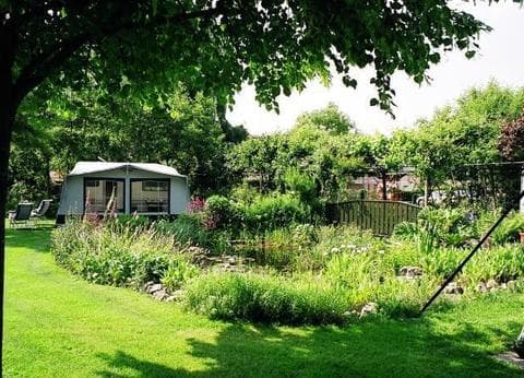 Pergama Landjuweel foto 5