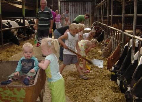 Pergama Landjuweel foto 2