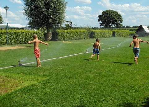 minicamping PietershoeK foto 2