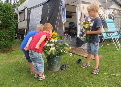 Hoeve Plantlust foto 5