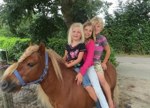 Hoeve Plantlust foto 9