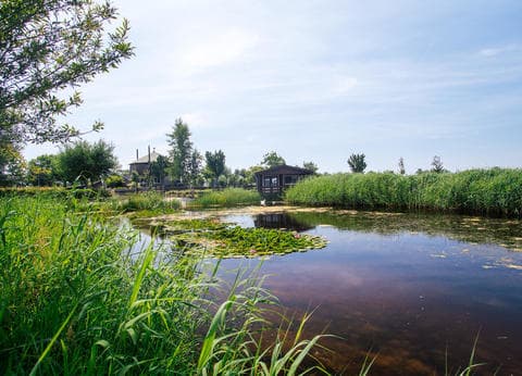 Polderflora Camping foto 1