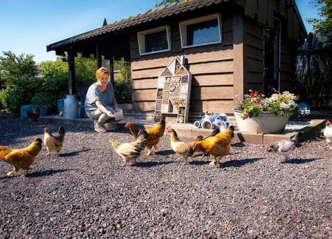 Polderflora Camping foto 3