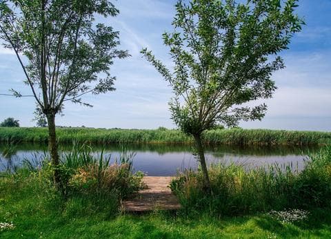 Polderflora Camping foto 4