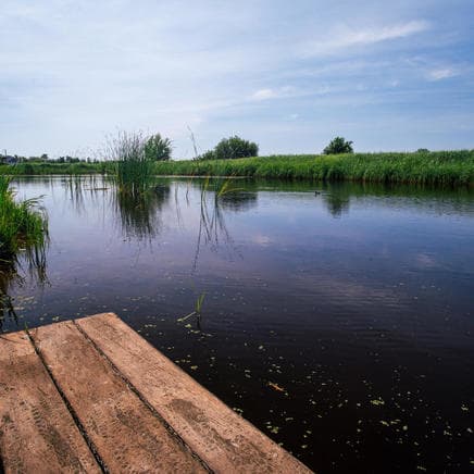 Polderflora Camping foto 6