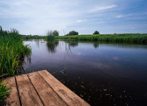 Polderflora Camping foto 5