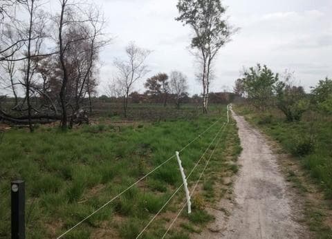 Mini Camping de Punder foto 8