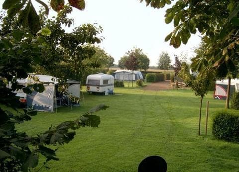 De Rijnstrangen foto 7