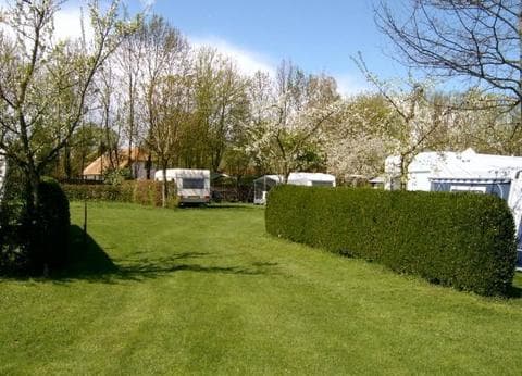 De Rijnstrangen foto 8