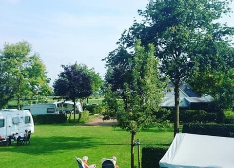 De Rijnstrangen foto 5