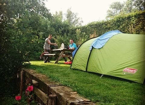 De Rijnstrangen foto 4