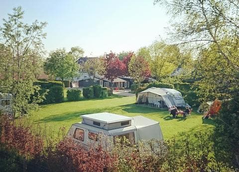 De Rijnstrangen foto 3