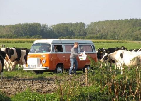 Roos en Doorn foto 3