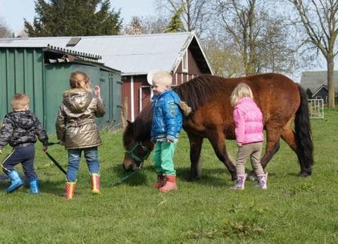 Recreatie Landschap Rosenboom foto 3