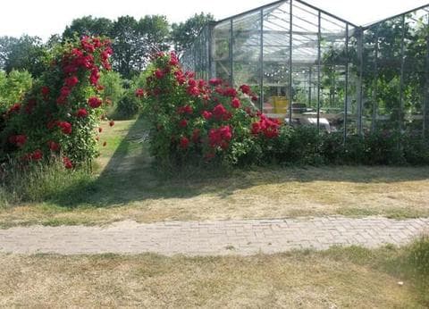 De Rozenhorst foto 5