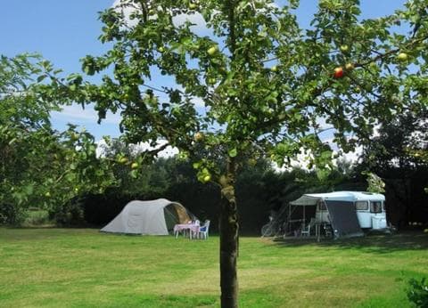 De Rozenhorst foto 2