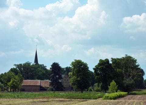 De Rozenhorst foto 6