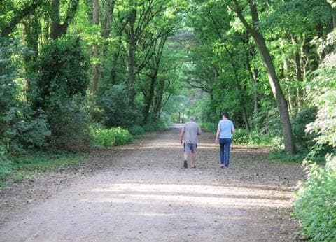 Kampeerboerderij en Minicamping De Runsvoort foto 8