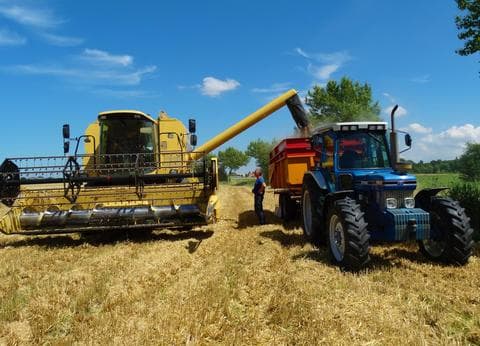 Sint Anthonijshoek foto 4